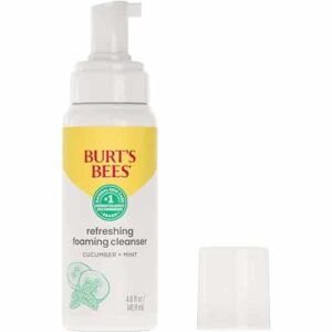 Burt's Bees Refreshing Foaming Face Cleanser and Natural Face Wash with Cucumber and Mint, 4.8 Fluid - Image 1