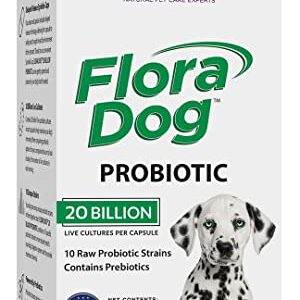 Vital Planet - Flora Dog Probiotic Caps Supplement with 20 Billion Cultures and 10 Strains, High Potency Immune and Digestive Support Probiotics for D - Image 1