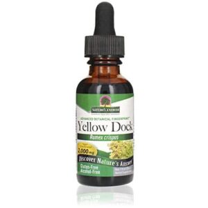 Nature's Answer Alcohol-Free Yellow Dock Root 2000mg 1oz | Promotes Liver Function | Natural Body Detox | Bloating Relief | Gluten-Free, Non-GMO, Vega - Image 1