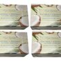 Shugar Soapworks Oatmeal & Coconut soap (pack of 4)