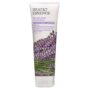 Bulgarian Lavender Hand and Body Lotion - 8 fl oz