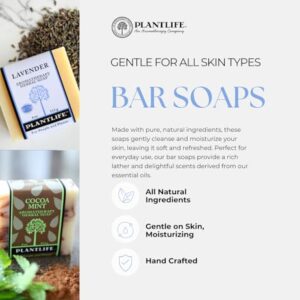 Plantlife Patchouli 6-pack Bar Soap - Moisturizing and Soothing Soap for Your Skin - Hand Crafted Using Plant-Based Ingredients - Made in California 4 - Image 2