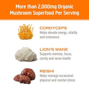 Om Mushroom Superfood Energy Plus Mushroom Powder Drink Mix, Citrus Orange, Single Serve, 10 Count, Mushroom Blend, Cordyceps, Yerba Mate, Tumeric, Vi - Image 6