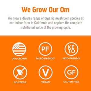 Om Mushroom Superfood Energy Plus Mushroom Powder Drink Mix, Citrus Orange, Single Serve, 10 Count, Mushroom Blend, Cordyceps, Yerba Mate, Tumeric, Vi - Image 7