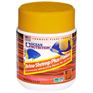 Ocean Nutrition Brine Shrimp Plus Flake Fish Food 1.2 Ounces (34 Grams) Jar | Freshwater & Saltwater Marine Aquarium Flakes Food for Aquariums - Image 4