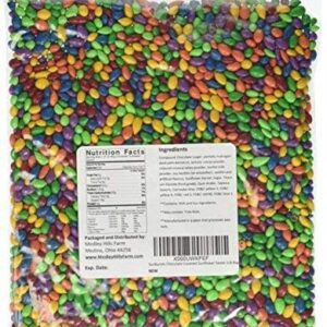 Sunbursts Chocolate Covered Sunflower Seeds 1LB Bag - Image 1