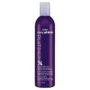 RUSK Deepshine Platinum Shampoo, 12 Oz, Gentle Cleansing Shampoo, Brightening Boost for Platinum, Silver, Gray, White, and Blonde Hair, Removes Yellow