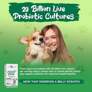 Vital Planet - Flora Dog Probiotic Caps Supplement with 20 Billion Cultures and 10 Strains, High Potency Immune and Digestive Support Probiotics for D - Image 5