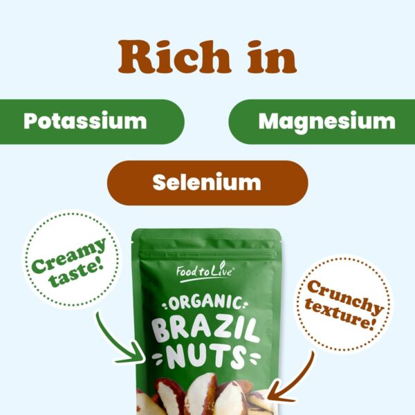 Food to Live - Organic Brazil Nuts, 4 Pounds Non-GMO, Raw, Whole, No Shell, Unsalted, Kosher, Vegan, Keto, Paleo Friendly, Bulk, Trail Mix Snack, Good - Image 6