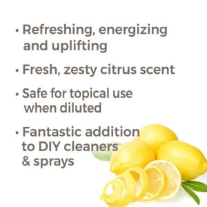 Plant Therapy Lemon Steam Distilled Essential Oil 10 mL (1/3 oz) 100% Pure, Undiluted, Therapeutic Grade - Image 2