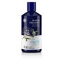 Avalon Organics Therapy Scalp Normalizing Shampoo, Tea Tree Mint, 14 Oz