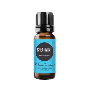 Edens Garden Spearmint Essential Oil, 100% Pure Therapeutic Grade (Undiluted Natural/Homeopathic Aromatherapy Scented Essential Oil Singles) 10 ml - Image 1