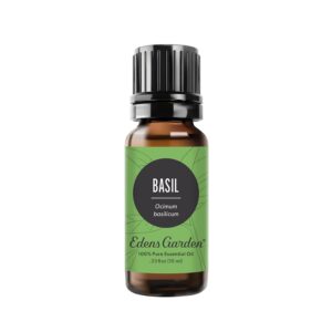 Edens Garden Basil Essential Oil, 100% Pure Therapeutic Grade (Undiluted Natural/Homeopathic Aromatherapy Scented Essential Oil Singles) 10 ml - Image 1