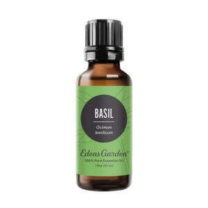 Edens Garden Basil Essential Oil, 100% Pure Therapeutic Grade (Undiluted Natural/Homeopathic Aromatherapy Scented Essential Oil Singles) 30 ml - Image 1