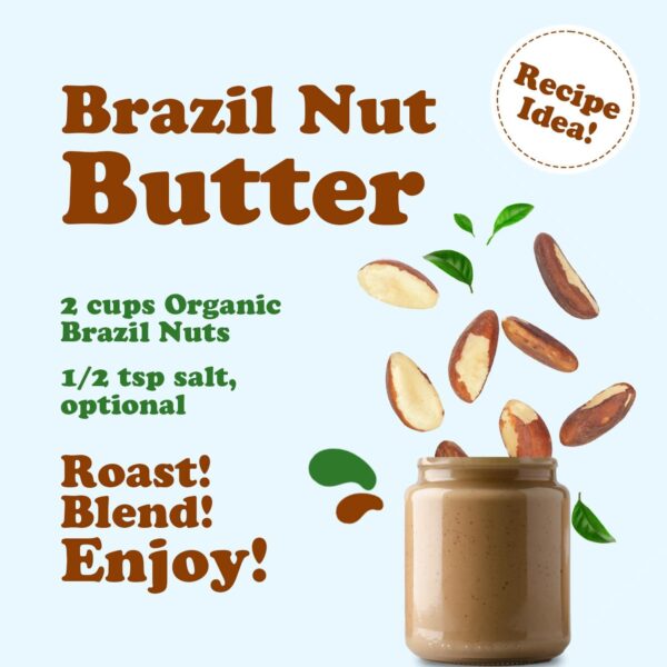 Food to Live - Organic Brazil Nuts, 4 Pounds Non-GMO, Raw, Whole, No Shell, Unsalted, Kosher, Vegan, Keto, Paleo Friendly, Bulk, Trail Mix Snack, Good - Image 8