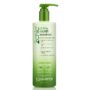 GIOVANNI 2chic Ultra-Moist Shampoo - Avocado & Olive Oil, Creamy Hydration Formula, Enriched with Aloe Vera, Shea Butter, Botanical Extracts, No Parabens, Color Safe - 24 oz