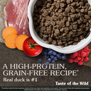 Taste of the Wild Grain Free High Protein Real Meat Recipe Wetlands Premium Dry Dog Food - Image 4