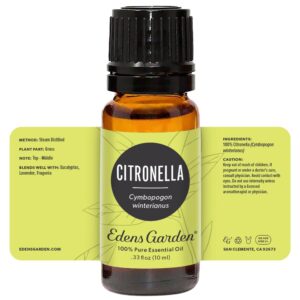 Edens Garden Citronella Essential Oil, 100% Pure Therapeutic Grade (Undiluted Natural Aromatherapy) 10 ml - Image 9