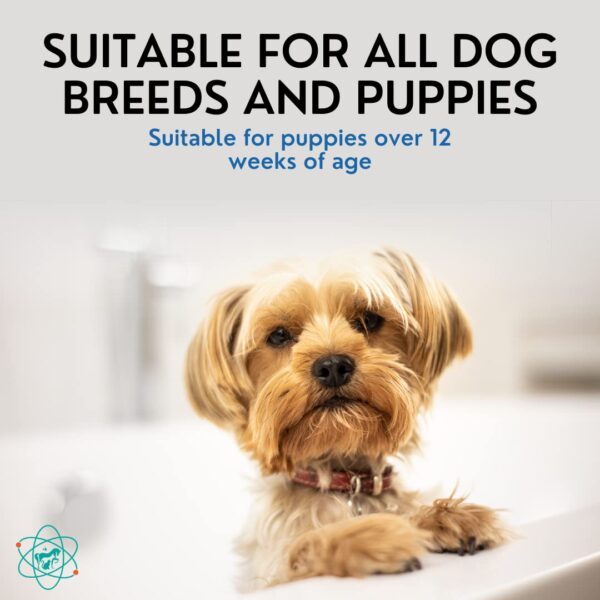 PET CARE Sciences 16 floz 5 in 1 Dog Shampoo for Itchy Skin - Sensitive Skin Dog Shampoo for Smelly Dogs - Dog Shampoos & Conditioners - Made in The U - Image 4