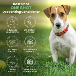 Best Shot ONE SHOT Deodorizing Conditioner, Hydrating and Moisturizing Conditioner for Dogs, Cats, Horses, and Livestock, Removes Stubborn Odors, 16 O - Image 4