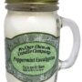 Our Own Candle Company Peppermint Eucalyptus Scented 13 Ounce Mason Jar Candle