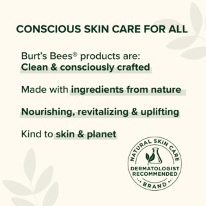 Burt's Bees Nourishing Honey & Grapeseed Oil Hand Cream, 2.6 Oz - Image 4