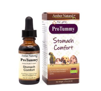 Amber NaturalZ ProTummy Stomach Comfort Herbal Blend for Dogs, Bird, Guinea Pigs, and Rabbits | Herbal Supplement for Occasional Upset Stomach | 1 Flu