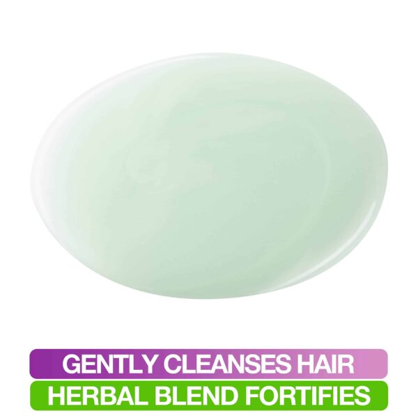 Mane N Tail Herbal Gro Shampoo 27.05 Oz - Image 3
