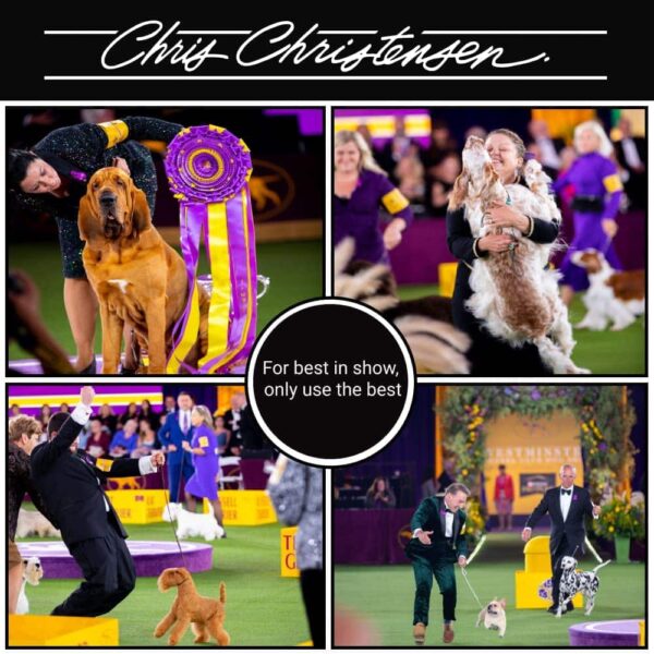 Chris Christensen Pet Shampoo, 16 oz Black on Black Color Revitalizing Shampoo, Groom Like a Professional, Restores Black Coats, Not a Dye, Lasts up t - Image 2