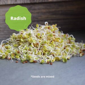 Handy Pantry 3 Part Salad Sprout Seed Mix - 8 Oz Brand - Organic Sprouting Seeds: Radish, Broccoli & Alfalfa: Cooking, Food Storage or Salad Sprouts - Image 7