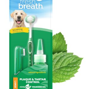 TropiClean Fresh Breath Dog Oral Care Kit | Complete Dog Toothbrush and Toothpaste Set for Plaque & Tartar Control | Dog Tooth Brushing Kit for Large - Image 1