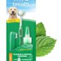 TropiClean Fresh Breath Dog Oral Care Kit | Complete Dog Toothbrush and Toothpaste Set for Plaque & Tartar Control | Dog Tooth Brushing Kit for Large