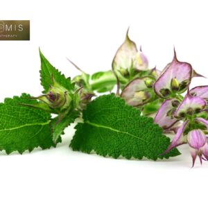 ArOmis Clary Sage Essential Oil - 100% Pure Therapeutic Grade - Undiluted, Premium Oil - 150 Micron Filtered, Perfect for Aromatherapy Diffusers (10ml - Image 4