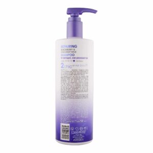 GIOVANNI 2chic Ultra-Repairing Shampoo - For Damaged, Over-Processed Hair, Helps Restore Hair's Natural Elasticity, Blackberry & Coconut Oil, Argan, S - Image 9