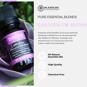 Plantlife Balance Aromatherapy Essential Oil Blend - Straight from The Plant 100% Pure Therapeutic Grade - No Additives or Fillers - Made in Californi - Image 2