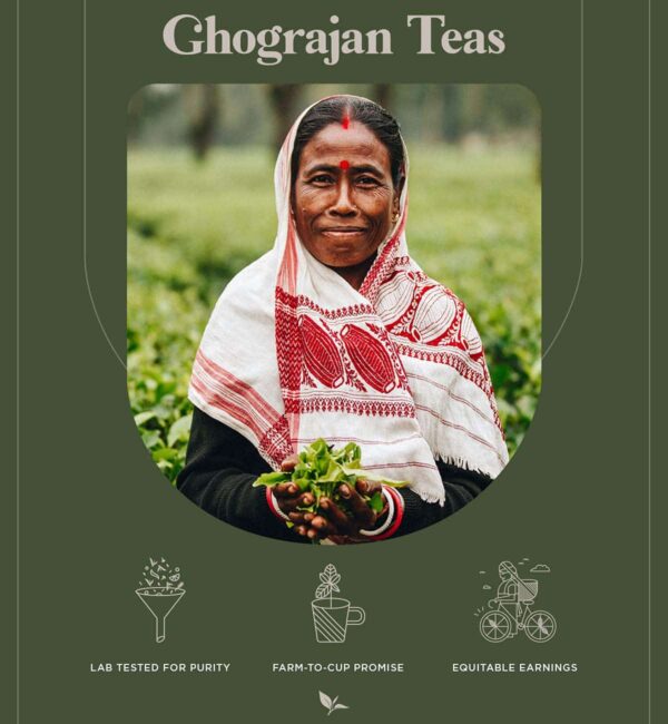 Assam Breakfast High Caffeine Loose Black Tea from India (200+ Cups) - Fresh Harvest - Perfect for Strong Morning Milk Tea Or Indian Chai Tea - Farm2C - Image 5