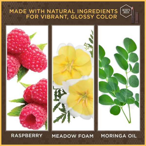Burt?s Bees 100% Natural Glossy Lipstick, Peony Dew - 1 Tube - Image 3