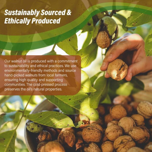 Walnut Oil 16 oz - Cold Pressed 100% Pure Natural - Skin, Body, Face, and Hair Growth Moisturizer. Great For Creams, Lotions, Lip balm and Soap Making - Image 7