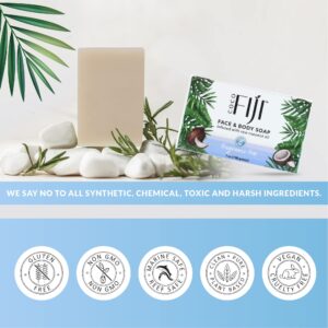 Coco Fiji Soap Bar for Face and Body Infused With Organic Coconut Oil, Fragrance Free, Essential Oil, Natural Soap for Moisturizing & Pore Purifying S - Image 7