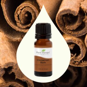 Plant Therapy Cinnamon Bark Essential Oil 10 mL (1/3 oz) 100% Pure, Undiluted, Cinnamon Oil for Diffuser, Spray, Candle Making, Spicy, Sweet Scent, Th - Image 3