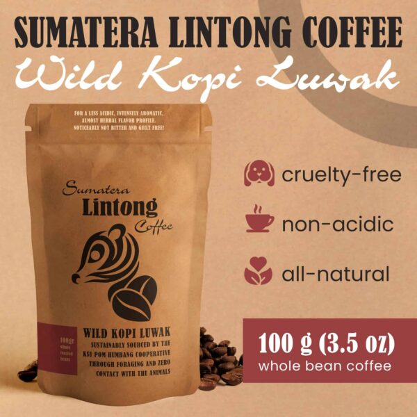 Wild Kopi Luwak, the World?s Most Exclusive Coffee, Sustainably Sourced From Sumatra, Indonesia (100gr / 3.5oz) - Image 2