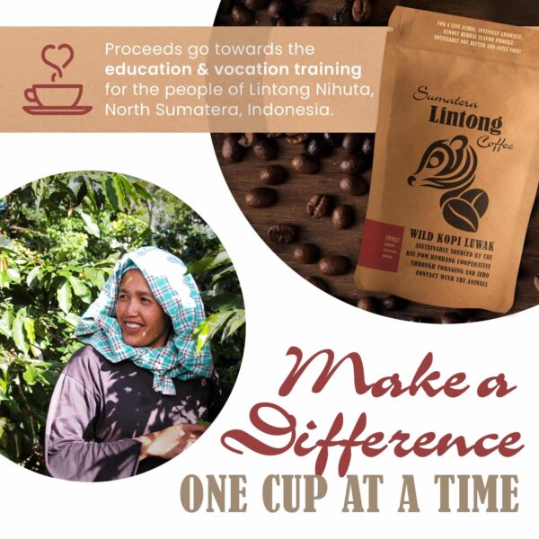 Wild Kopi Luwak, the World?s Most Exclusive Coffee, Sustainably Sourced From Sumatra, Indonesia (100gr / 3.5oz) - Image 7
