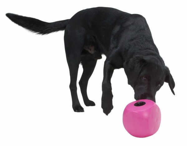 Kruuse Buster Food Cube Feeder, Lime - Image 2