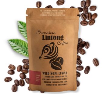 Wild Kopi Luwak, the World?s Most Exclusive Coffee, Sustainably Sourced From Sumatra, Indonesia (100gr / 3.5oz)