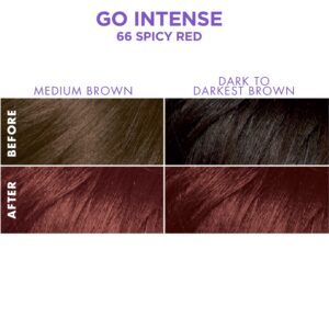 SoftSheen-Carson Dark and Lovely Ultra Vibrant Permanent Hair Color Go Intense Hair Dye for Dark Hair with Olive Oil for Shine and Softness, Spicy Red - Image 2