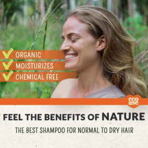 ecoLove - Natural Shampoo, Sodium lauryl sulfate Free, Vegan & Cruelty Free Shampoo, Natural Dry Shampoo for Women, Organic Carrot and Pumpkin Shampoo - Image 3