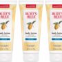 Burts Bees Butter Body Lotion for Dry Skin with Cocoa & Cupuau, 6 Oz - Pack of 3 (Package May Vary)