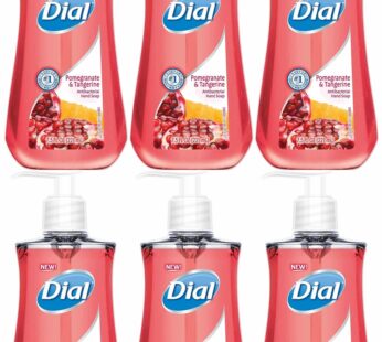 DIA02795 – Dial Pomegranate Antibacterial Hand Soap – 6 Pack