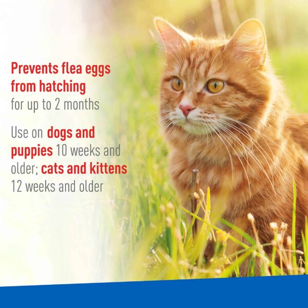 Adams Flea & Tick Spray For Dogs and Cats | Kills Fleas and Ticks Through Contact, Kills Flea Eggs, Flea Larvae, and Prevents Flea Egg Hatch | Control - Image 4