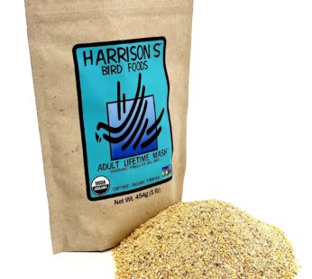 Harrison’s Adult Lifetime Mash 1lb